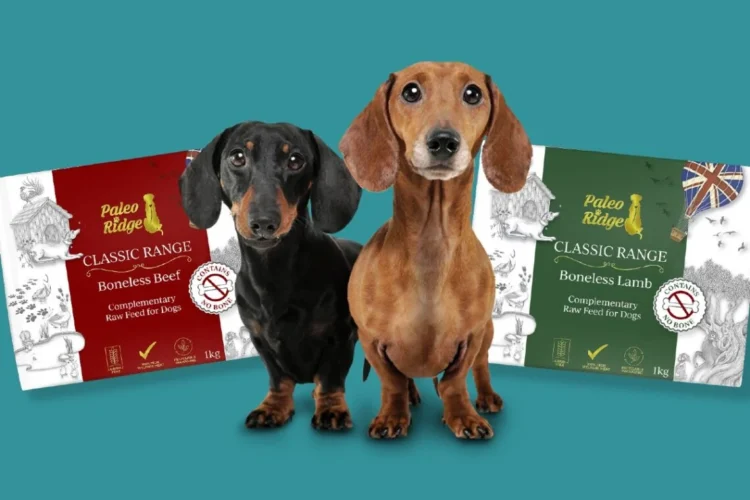 Discover the Benefits of Paleo Ridge: Premium Raw Dog Food for All Life Stages
