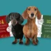 Discover the Benefits of Paleo Ridge: Premium Raw Dog Food for All Life Stages