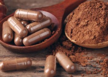 Steigern Sie Ihre Energie, Immunität und Vitalität mit Heilpilzen