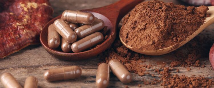 Steigern Sie Ihre Energie, Immunität und Vitalität mit Heilpilzen