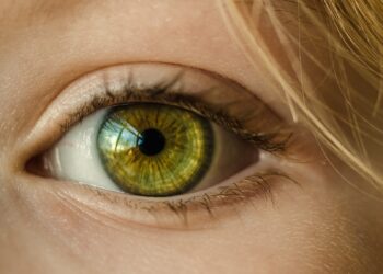 Entdecken Sie die Geheimnisse des perfekten Augen-Make-ups mit den meistverkauften Produkten von ZOEVA