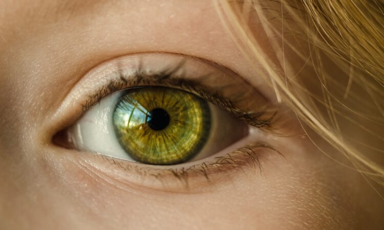 Entdecken Sie die Geheimnisse des perfekten Augen-Make-ups mit den meistverkauften Produkten von ZOEVA
