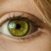 Entdecken Sie die Geheimnisse des perfekten Augen-Make-ups mit den meistverkauften Produkten von ZOEVA