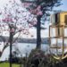 Soho Lighting: The Perfect Blend of Classic Design and Modern Outdoor Lighting Solutions