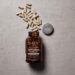 Transform Your Health with Forest Super Foods: The Power of Adaptogenic Mushrooms and Superfoods