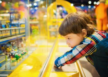 Top Toy Picks for Black Friday: Playmobil & PAW Patrol Delights