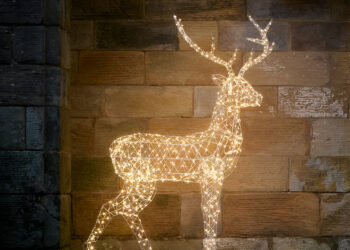 Black Friday Extravaganza: Zauberhafte LED-Weihnachtsdekorationen von Lights4fun