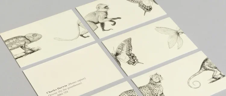 Stationery by MOO: Where Creativity Meets Elegance