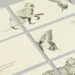 Stationery by MOO: Where Creativity Meets Elegance
