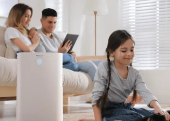 ProBeeze Dehumidifiers: The Ultimate Smart Solution for Moisture Control