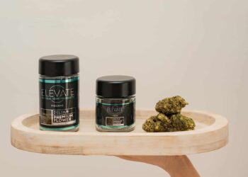 From Pain Relief to Creativity Boost: The Best Cannabinoid Products by Elevate