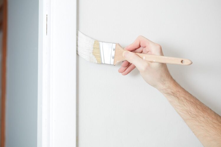 Find Your Perfect Brush at Brewers – Quality You Can Trust