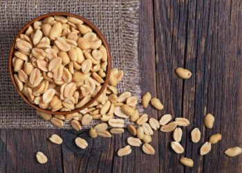 Premium Peanuts for Wild Birds by Garden Wildlife Direct