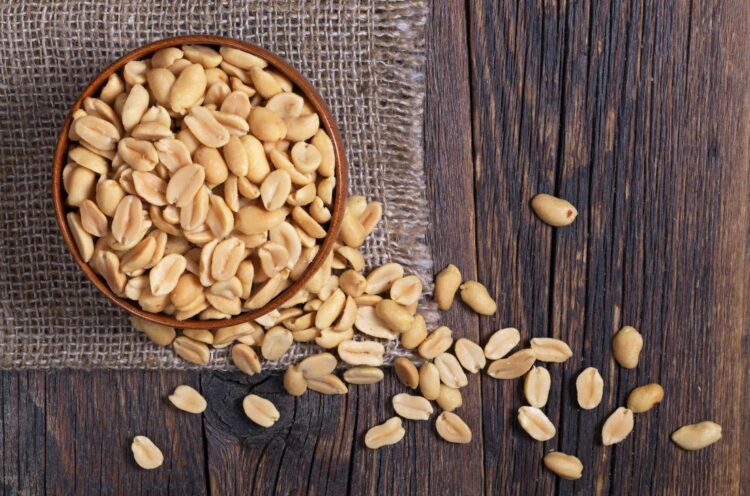 Premium Peanuts for Wild Birds by Garden Wildlife Direct