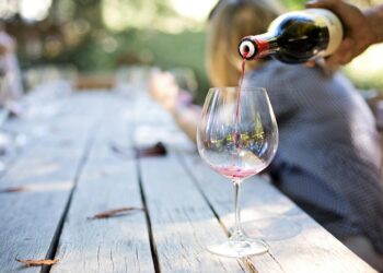 The Essence of Terroir: Exploring the Rich Flavors of Biodynamic Wines