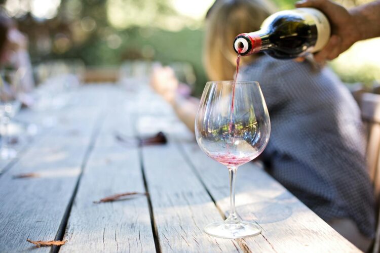 The Essence of Terroir: Exploring the Rich Flavors of Biodynamic Wines
