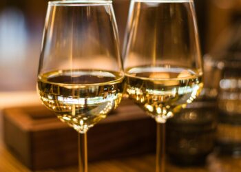 Verkostung von Bordeaux: Ein Leitfaden zu den besten Weinen der Region