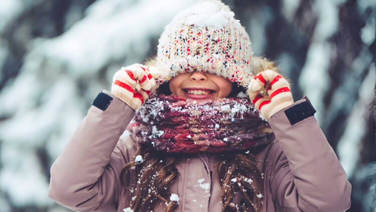 Unwrap the Joy of a Cozy Christmas Getaway with Perfect Accommodations