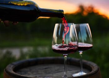 Indulge in Premium Red Wines from The Great Wine Co.