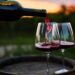 Indulge in Premium Red Wines from The Great Wine Co.