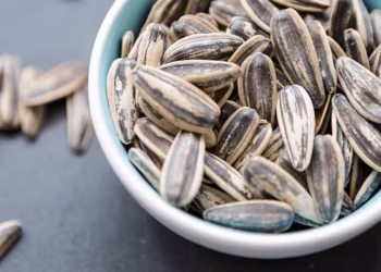 Sunflower Seeds & Hearts: The Perfect Treat for Wild Birds by Garden Wildlife Direct
