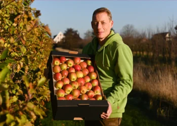 Hållbart ätande: Hur CrowdFarming stödjer etiskt jordbruk