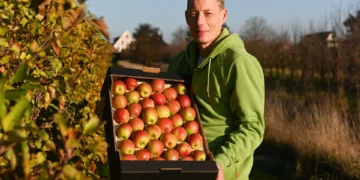 Hållbart ätande: Hur CrowdFarming stödjer etiskt jordbruk