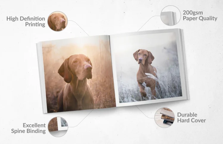 Preserve Your Memories in Style with Printerpix Photo Books