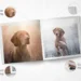 Preserve Your Memories in Style with Printerpix Photo Books