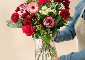 Verlicht elke gelegenheid met het perfecte bloem- en plantcadeau
