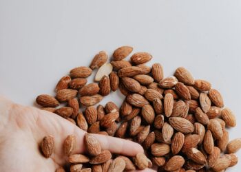 Discover the Nutty World of Healthy Snacks