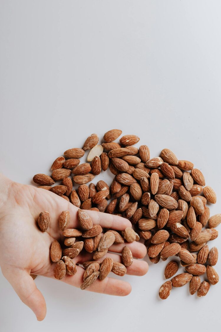 Discover the Nutty World of Healthy Snacks
