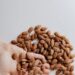 Discover the Nutty World of Healthy Snacks