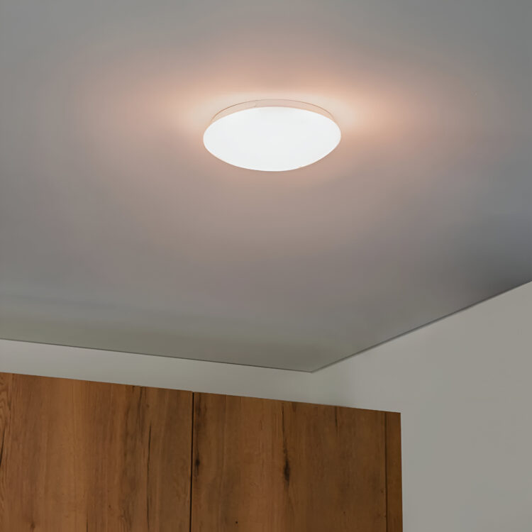 De toekomst van huisverlichting met slimme plafondlampen