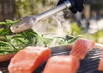 Von Steak bis Meeresfrüchte: Entdecken Sie die Leistung von Elektrogrills