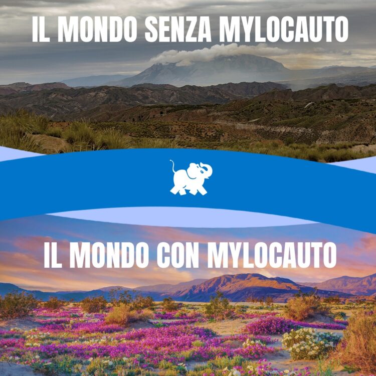 Esplorare i vantaggi ineguagliabili dei servizi di autonoleggio Locauto