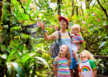 Protect Your Adventures with Comprehensive Travel Insurance Plans from InsureandGo for a Worry-Free Experience Every Time You Travel