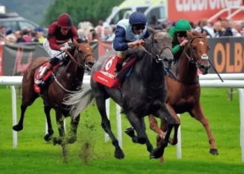 Get Closer to the Action: Unforgettable Sports Breaks with Caledonian Travel
