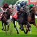 Get Closer to the Action: Unforgettable Sports Breaks with Caledonian Travel
