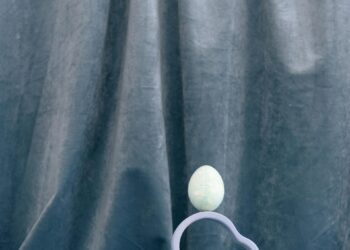 Revamp Your Interiors with Premium Fabric Choices
