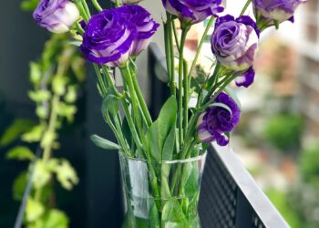 Regale flores que dicen mucho en momentos especiales