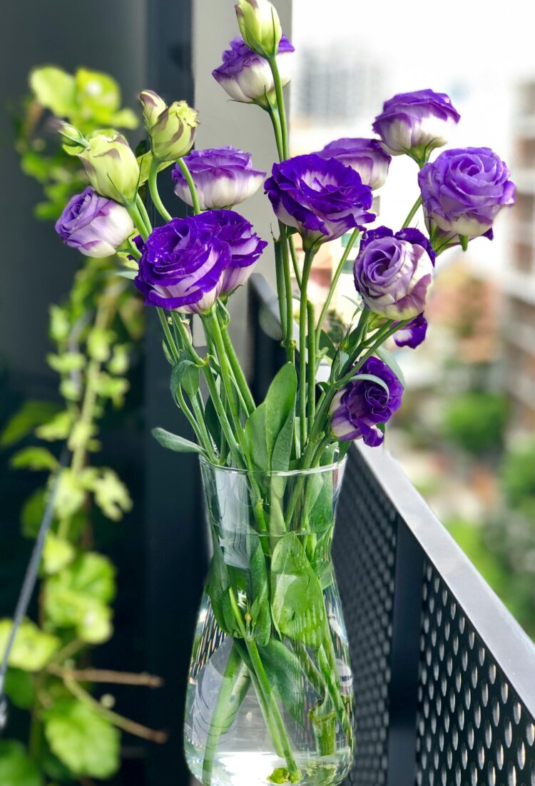 Regale flores que dicen mucho en momentos especiales