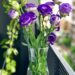 Regale flores que dicen mucho en momentos especiales