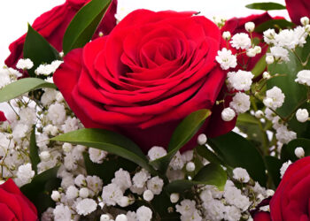 Create Unforgettable Moments with Premium Valentine’s Day Flower Bouquets