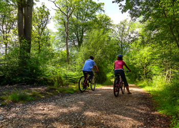 A Cyclist’s Paradise: Best Routes for Adventure in the New Forest