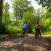 A Cyclist’s Paradise: Best Routes for Adventure in the New Forest