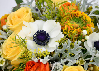 Explore Moyses Stevens’ Stunning Floral Creations