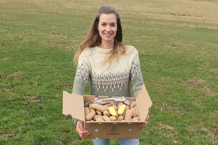 Entdecken Sie den Geschmack von Nachhaltigkeit mit den Bio-Produkten von Crowdfarming