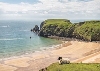 Irish Ferries – Your Gateway to Ireland, the UK, and France