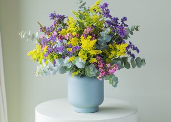 Mimosas, tulipanes y más: flores duraderas para una belleza duradera
